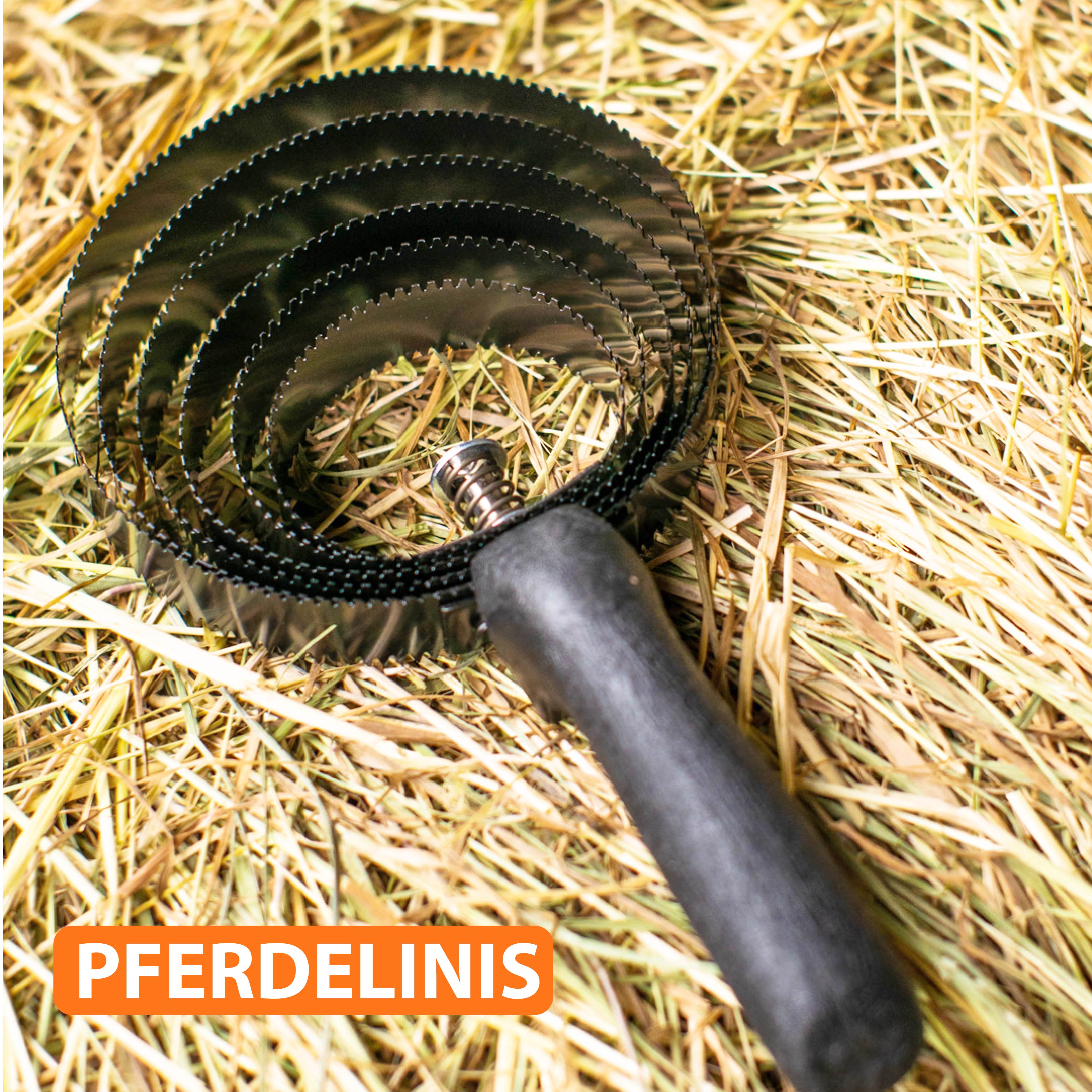 Federstriegel mit Griff, 6 lagiger Metallstriegel